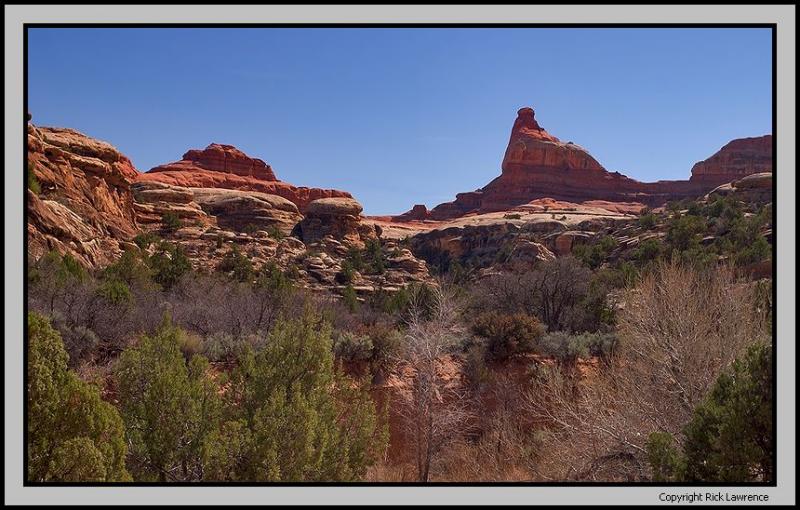 Needles district