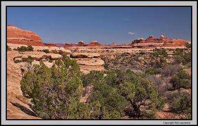 Needles district view from the pass
