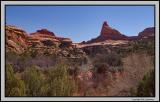 Needles district