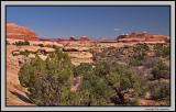 Needles district view from the pass