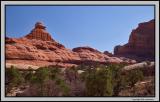 Needles district, trail from the pass