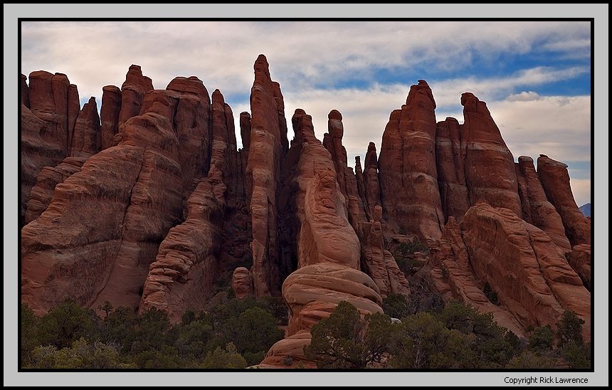 Fins in Arches