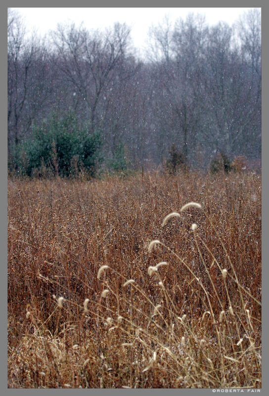 Snow Flurries