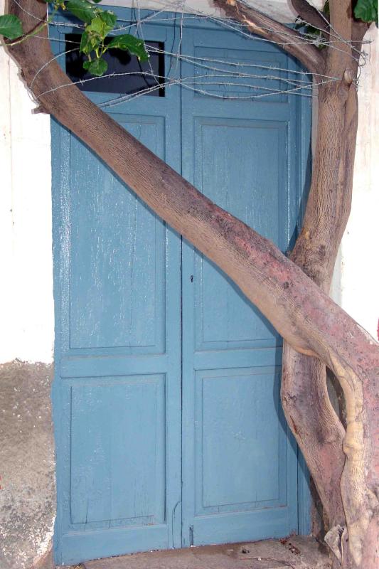 Brench intertwined with door