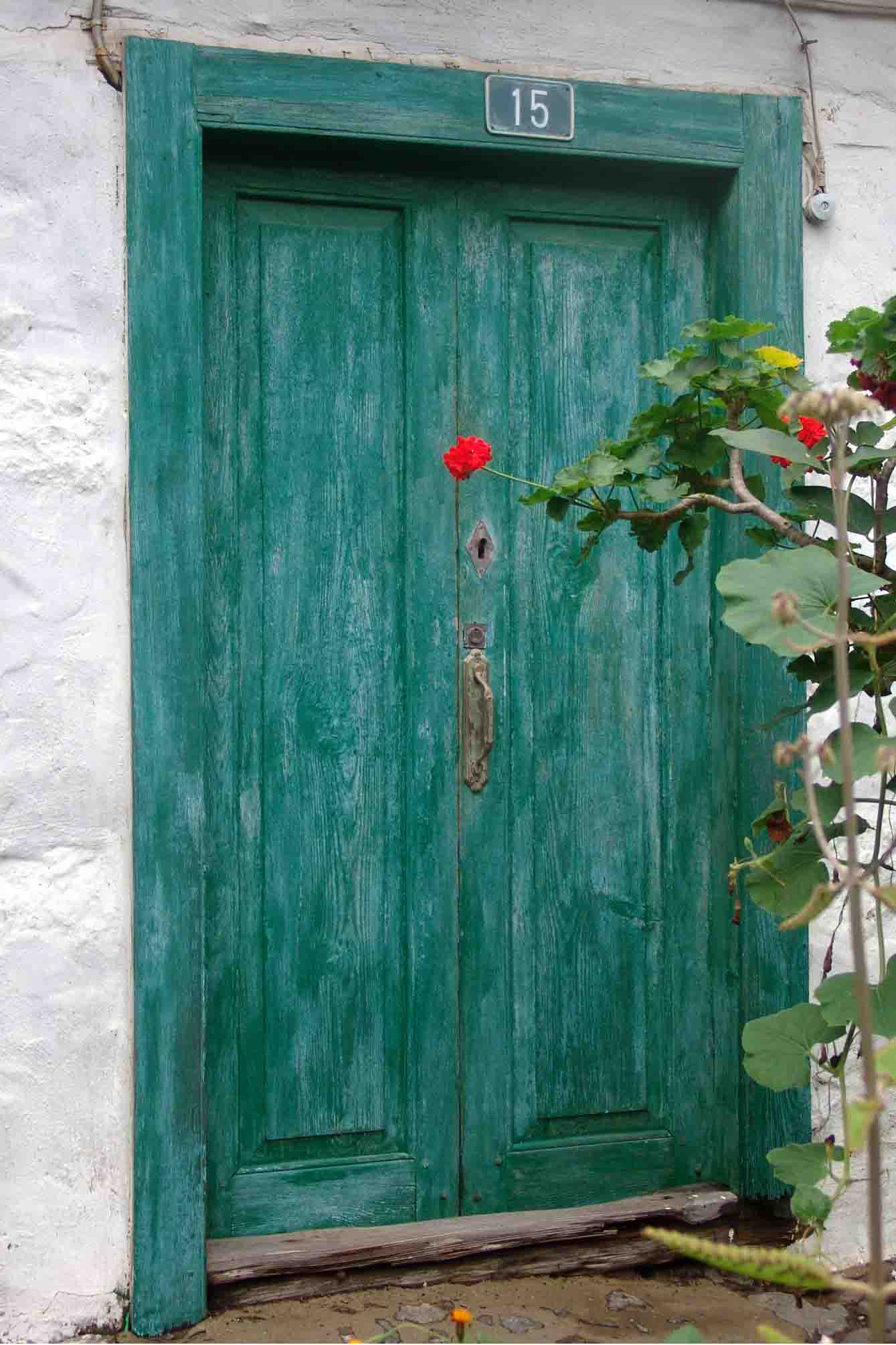 Geen door with red flower, nr 15