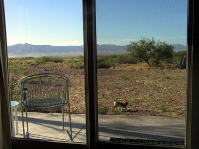 The view from our bed