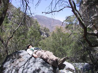 Rob takes a rest in Scheelite Canyon while Stuart locates the Spotted Owl