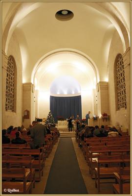 IMG_7983.jpg