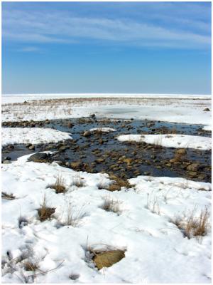 Frozen Expanse Before Lake Huron