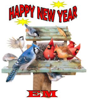 Happy New Year Em.jpg