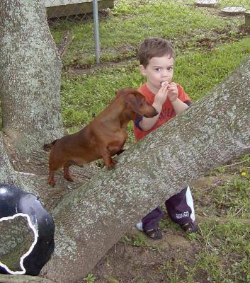 Ty & Tree Dog
