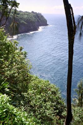 cliffside vista