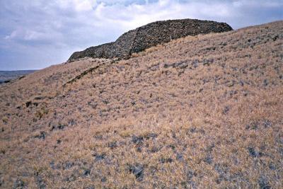 puukohola heiau