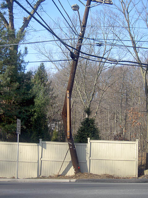 the princeton pole