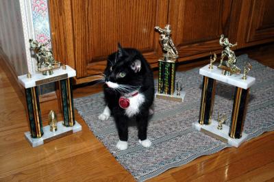 DSC_0104_edited-1.jpg