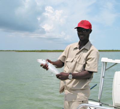 Dion and the bonefish