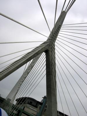 102-0241_IMG.JPG