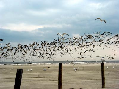 Trip to Galveston