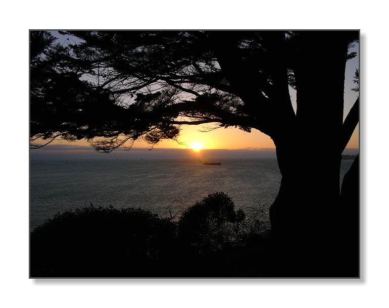 <b>Presidio Sunset</b><br><font size=2>San Francisco, CA