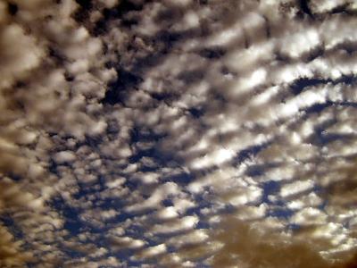 Mackerel Sky