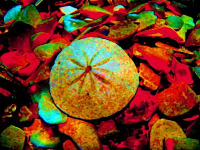 Psychedelic