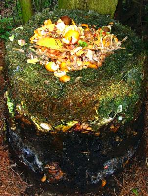 Compost Heap