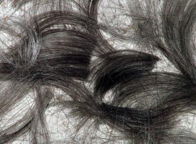 Hair Today, Gone Tomorrow