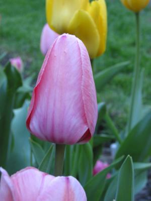 IMG_1903.jpg