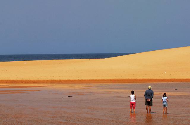 Three at Narrabeen Lagoon dunes
