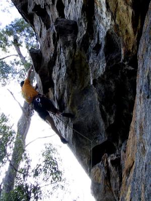 brooyar_climbing