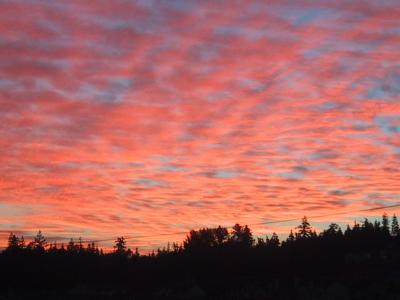 Sunrise Issaquah, WA