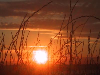 Sunset on the Sammamish Plateau