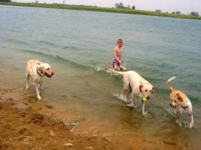 Ryan playing with Max, Luke and Taffy