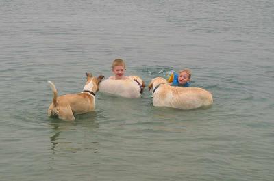 Ryan and Lauren swimming with the dogs