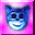 u10/soleilmia/upload/10835067.wierdcat.gif