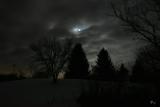 Winter night