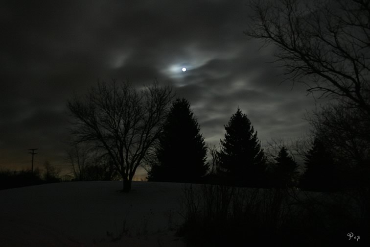 Winter night