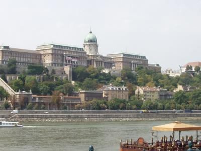 One of the great monumental things on the Danube, not one of which did I visit.