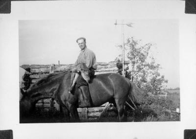 Ken Harris on horse with calf