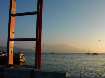 angel island in fog.jpg