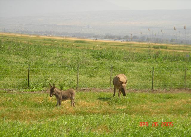 hula valley nature preserve