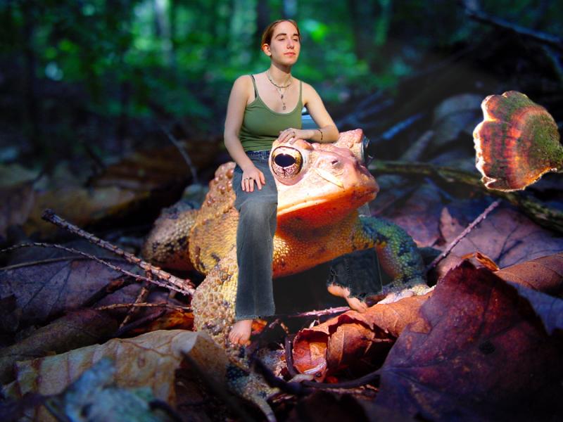 Mr. Toad and Miss E pause for some rays (edited)