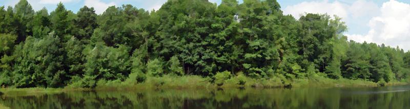 <B><br>Lakeside</B><BR><FONT size=1>by Faye White</FONT>
