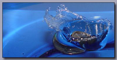 a plunge in a bucketruddyone