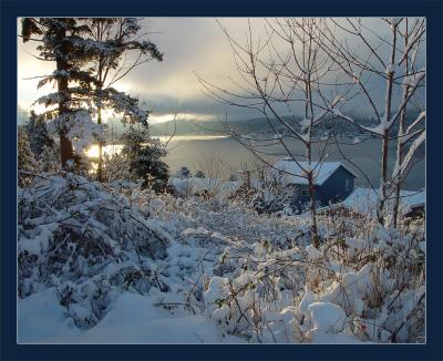 Sunlit Snow Above the Lakeby Ann Chaikin