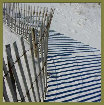 Playing With Shadows by florg