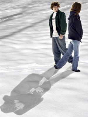 2nd (tie)The Shadow of Attraction.      Fremiet