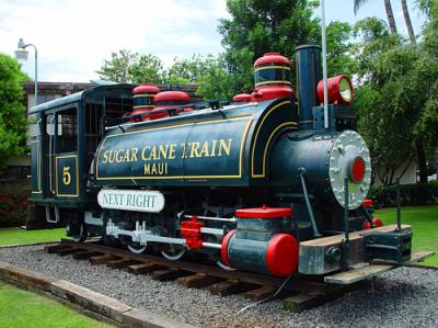 Sugar Cane Train  by kudbegud