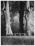 <b>10th Place <br>Aging park</b><br>by Willem