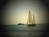 Sail on.....follow your dreams by florg